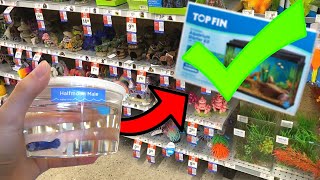 What Items TO BUY For BETTA FISH TANK [upl. by Ynamreg]