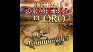 Los caminantes Rancheras mix 2021 [upl. by Anaet923]