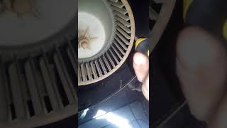 2000 Dodge dakota blower motor removal [upl. by Yemane]