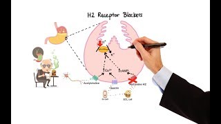 Pharmacology  ANTIHISTAMINES MADE EASY [upl. by Clauddetta]