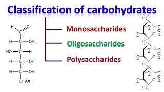 Carbohydrates  classification of carbohydrates [upl. by Enia]