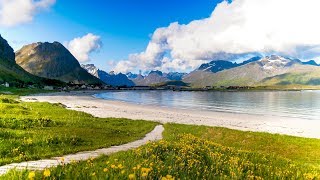 Uplifting Music  light positive happy music Gullrosøya  1 hour [upl. by Nnylaf]