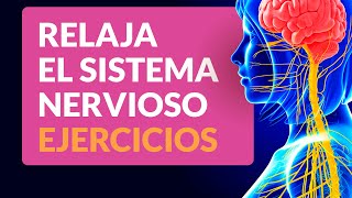 Los mejores ejercicios para relajar el sistema nervioso 💆 [upl. by Aivuy]