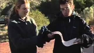 Monocline Explained Capitol Reef National Park [upl. by Niad]