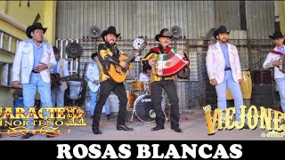 Rosas Blancas Los Viejones de Linares feat Carácter Norteño [upl. by Daas638]