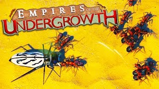 TIGER BEETLES and WOLF SPIDER INFESTATIONS  Empires of the Undergrowth Gameplay [upl. by Sophey]