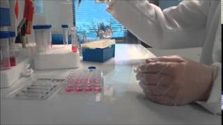 How to Plate Cells [upl. by Marylinda]