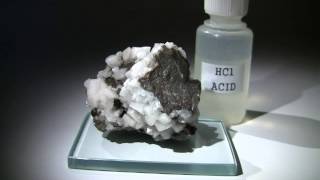 Calcite and Dolomite Reacting with Hydrochloric Acid [upl. by Apps]