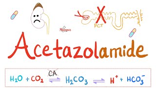 Diuretics  Carbonic Anhydrase Inhibitors  Acetazolamide  Pharmacology Series [upl. by Yanel]