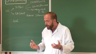 Anatomie générale 1  Cours dostéologie générale [upl. by Rola]