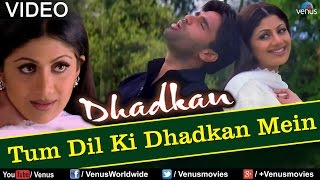 Tum Dil Ki Dhadkan Mein  Duet Dhadkan [upl. by Jak]