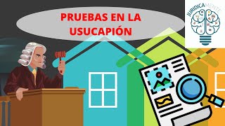 PRUEBAS EN LA USUCAPIÓN [upl. by Tench]