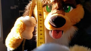 measures you for your new fursuit Furry ASMR [upl. by Arretahs]