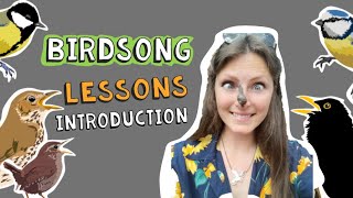 Birdsong Lessons with Lucy Lapwing  Learning British Birdsong INTRODUCTION [upl. by Shulamith]