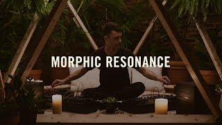 Moog Matriarch  Lightbath  Morphic Resonance [upl. by Eceinahs]