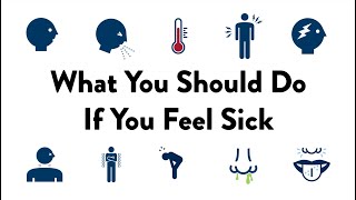 What You Should Do If You feel Sick  For Students [upl. by Kramlich]