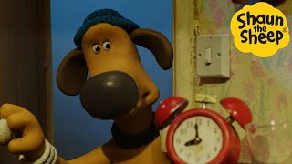 Shaun the Sheep 🐑 Bedtime  Cartoons for Kids 🐑 Full Episodes Compilation 1 hour [upl. by Kowal]