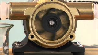 How a Jabsco Flexible Impeller Pump Works [upl. by Hairaza]