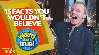 15 Facts You Wouldn’t Believe  Weirdest Bestest Truest [upl. by Raddi]