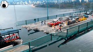 5 Massive Bridge Collapses CAUGHT ON CAMERA [upl. by Ranitta]