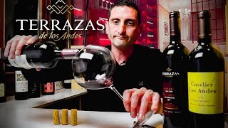 Terrazas de los Andes Malbec  Argentina Wine Review [upl. by Bohaty]