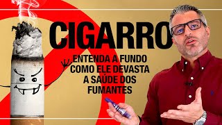 Isso é o que acontece no corpo de um FUMANTE 🚭 [upl. by Maccarthy]