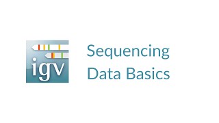 IGV  Sequencing Data Basics [upl. by Notfa]