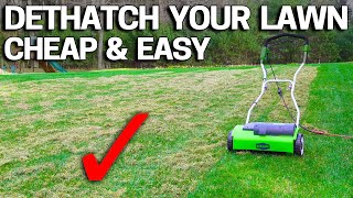 How to DETHATCH an UGLY LAWN  CHEAP [upl. by Shulins]