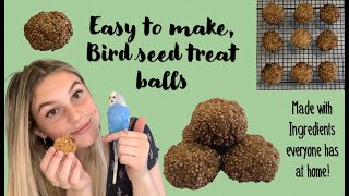 How to Make Bird Treats  Easy Seed Balls [upl. by Vano]