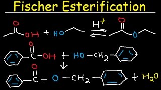 Fischer Esterification Reaction Mechanism  Carboxylic Acid Derivatives [upl. by Artemus662]