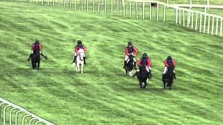 Royal Shetland Pony Race [upl. by Annavoeg158]