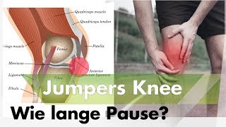 Jumpers Knee  Wie lange muss ich Pause machen [upl. by Sigsmond319]