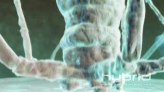 Bacteriophage Hybrid Medical Animation HD [upl. by White145]