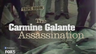 The Carmine Galante Assassination  The Tape Room [upl. by Ellehsor]