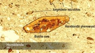 Hornblende vs Biotite under PPL and XPL [upl. by Maggio731]