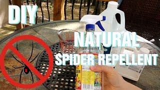 DIY Natural Spider Repellent [upl. by Eserahs]