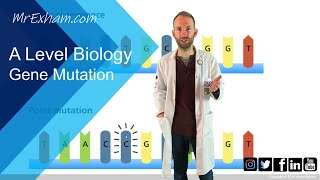 Gene mutation  A Level Biology [upl. by Yob503]