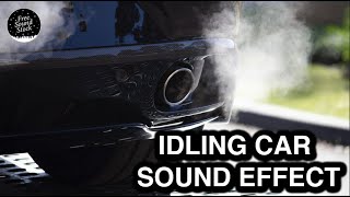 Idling Car Sound Effect [upl. by Assili]