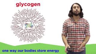 Carbohydrates Part 2 Polysaccharides [upl. by Tem555]