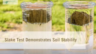 Slake Test Demonstrates Soil Stability [upl. by Oler]