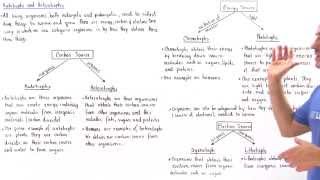 Autotrophs and Heterotrophs [upl. by Derk]