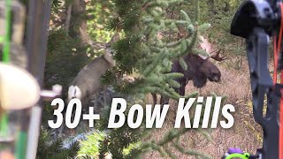 30 Bow Hunts in Under 15 Minutes Eastmans’ Bow Hunting [upl. by Perry]