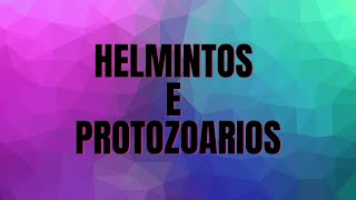 HELMINTOS E PROTOZOÁRIOS [upl. by Adnirim]