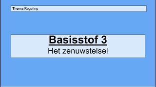 Havo 4  Regeling  Basisstof 3 Het zenuwstelsel [upl. by Nugent651]