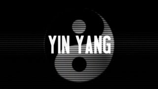 USS  Yin Yang OFFICIAL LYRIC VIDEO [upl. by Lednar]