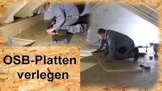 Fußboden mit OSBPlatten verlegen [upl. by Johppa757]