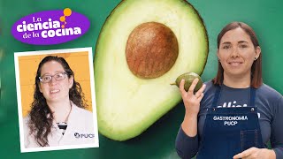 ¿Cómo acelerar la maduración de la palta  La Ciencia de la Cocina  T2 Episodio 1 [upl. by Anneiv]