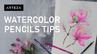 Watercolor Pencils Tutorial For Beginners TOP 7 TECHNIQUES [upl. by Alejandro373]