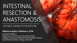 Basics of colorectal operations [upl. by Ennovart438]