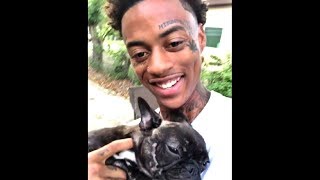 FUNNIEST Boonk Stealing Vines Compilation  Magnolia [upl. by Unhsiv30]